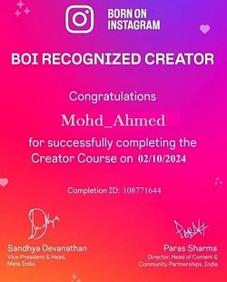 Instagram BOI Recognised Creator Certification